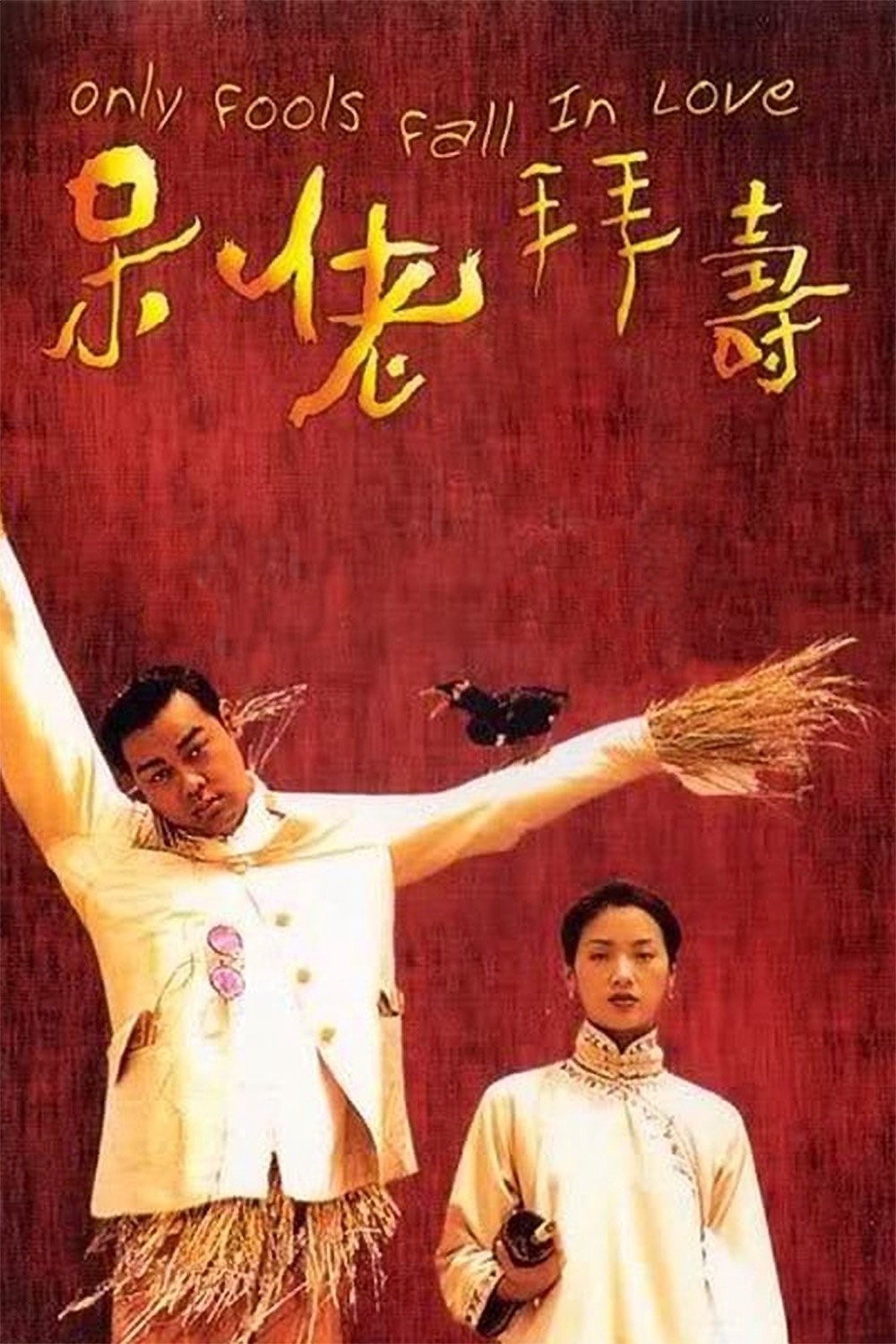 Xem phim Kẻ Ngốc Cũng Biết Yêu